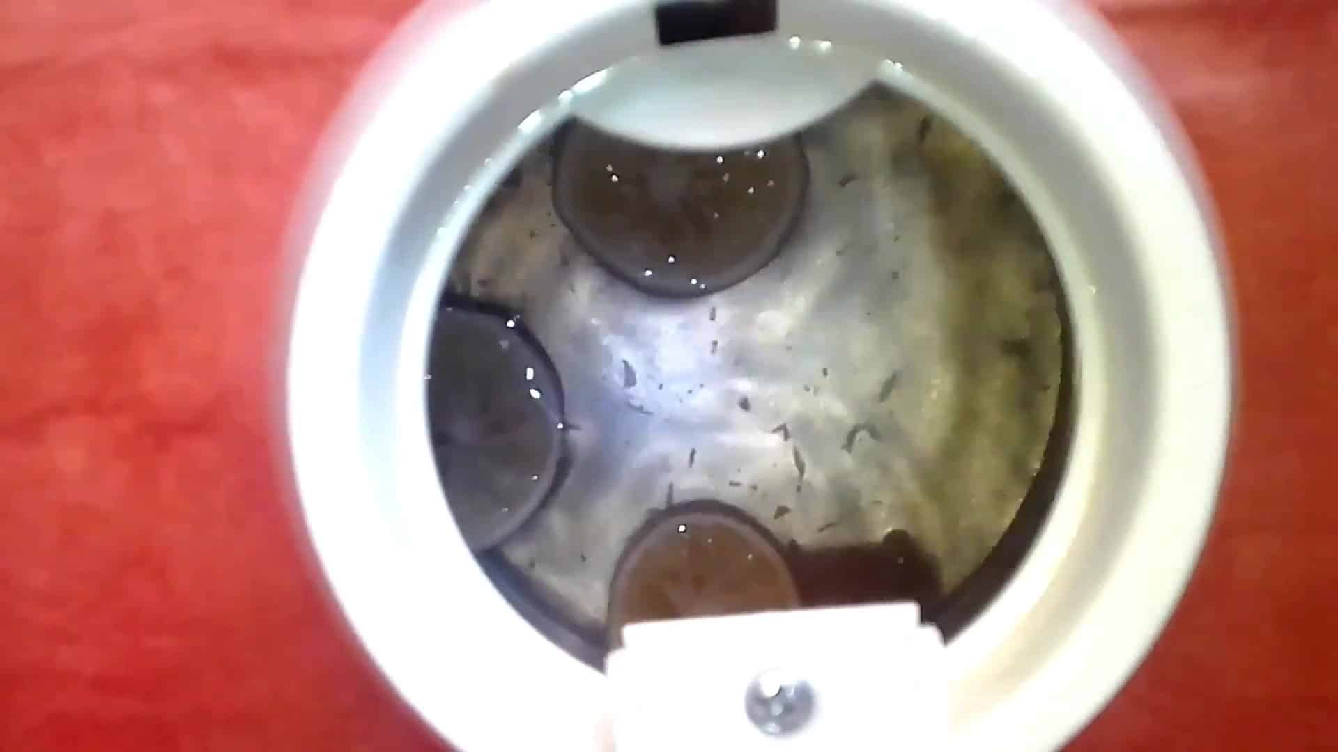 تنظيف الغلاية الكهربائية